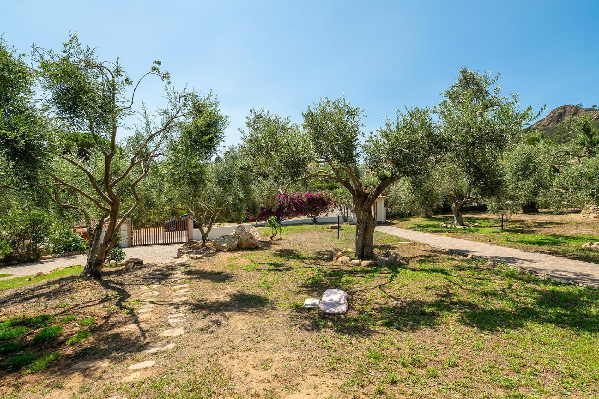 Casa Pilato Hotel Poggio dei Pini Buitenkant foto